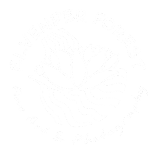 Elvender Forest